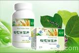 松花伴侣片